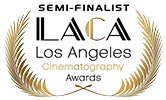 Los Angeles Cinematography Awards